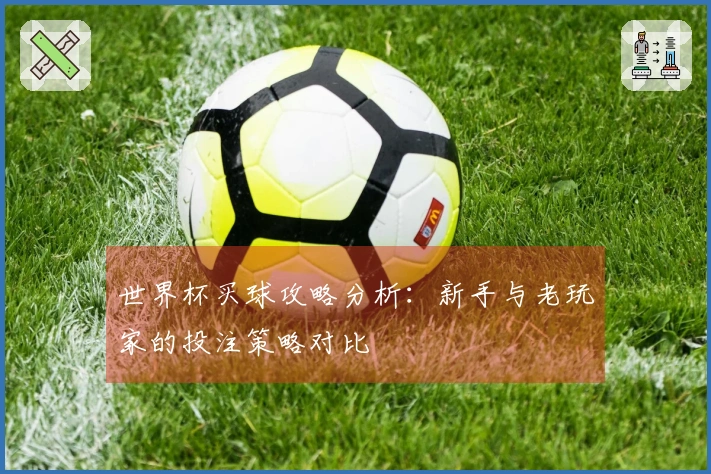 世界杯买球攻略分析：新手与老玩家的投注策略对比