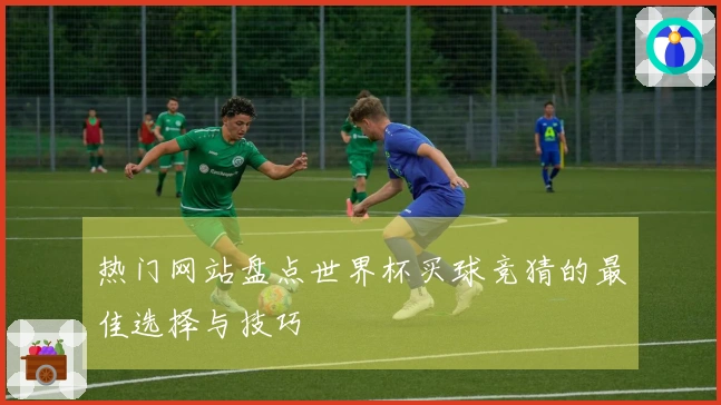 热门网站盘点世界杯买球竞猜的最佳选择与技巧