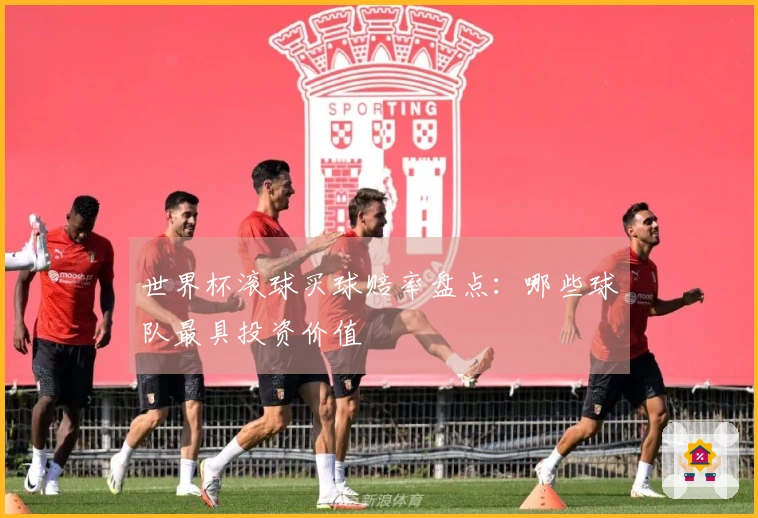 世界杯滚球买球赔率盘点：哪些球队最具投资价值