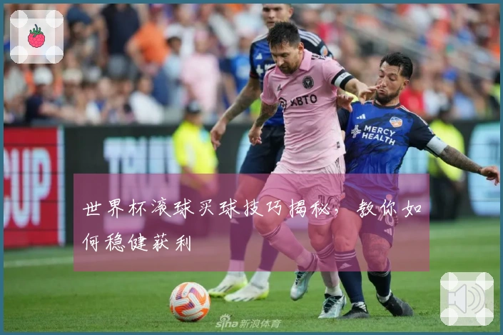 世界杯滚球买球技巧揭秘，教你如何稳健获利